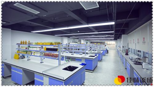 智能融合 計算機技術驅動下的金針菇蘋果健康飲品創新配方研發